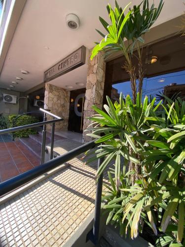 Είσοδος, Hotel Centro in Σαντάγιο Ντελ Εστέρο