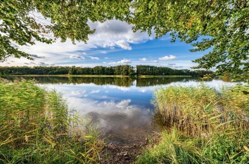 Apkārtne, Ferienhaus Zander im Ferienpark Lenzer Höh (Ferienhaus Zander im Ferienpark Lenzer Hoh) in Funfseen