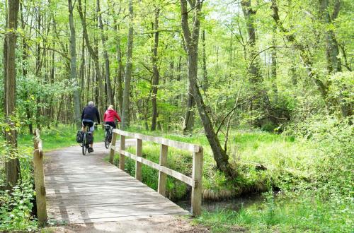 De Doerpkieker - Familienparadies am Torgelower See 4.4km von Peenehagen entfernt