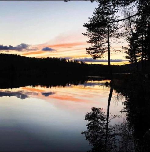 Koselig hytte på gårdstun i Oslo, Oslo (foto 6)