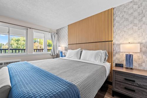King Bed in Lux Boutique Hotel in Marshfield, USA