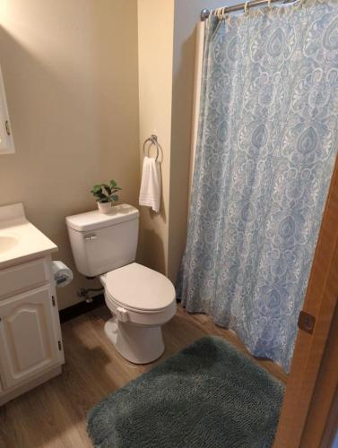 Waterloo Suites Queen 1 - image 3