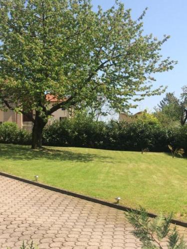 I Ciliegi - Apartment - Moncalieri