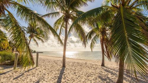 Driftwood Dreams by Last Key Realty - image 4