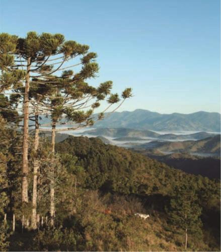 Casinha da Mantiqueira - SAP