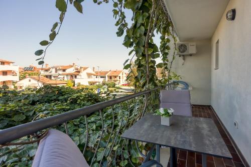 Apartment image 10