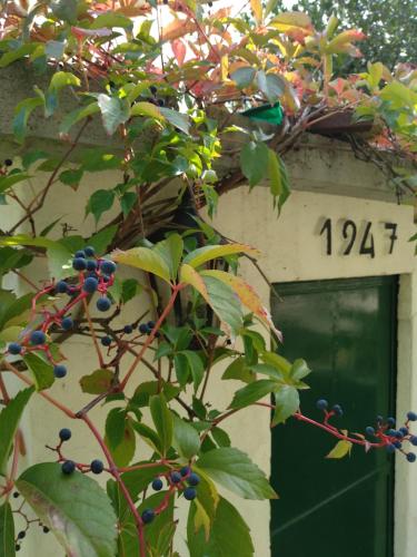 Casas Do Zagão - Turismo Rural - image 7