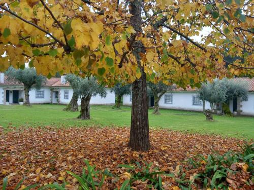 Casas Do Zagão - Turismo Rural - image 10