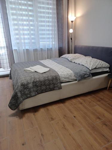 APARTAMENTY CENTRUM PAŁACOWA