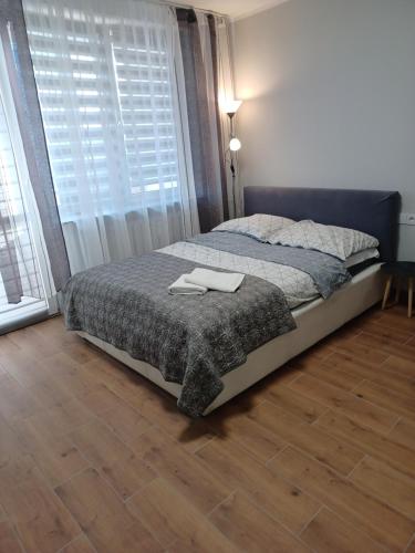 APARTAMENTY CENTRUM PALACOWA - Bialystok