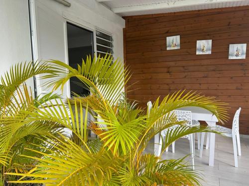 Удобства, F2 de charme Les Abymes in Les Abymes