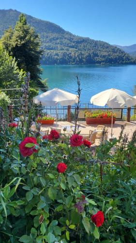 View, Hosteria El Condado in Lago Gutierrez