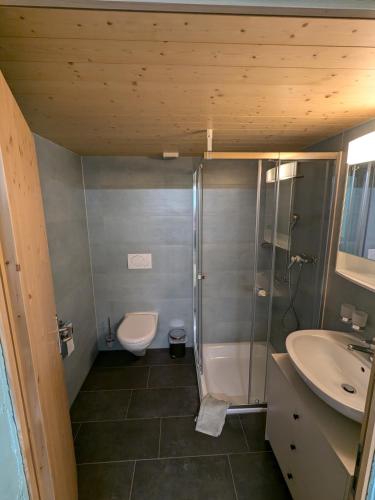 Zimmer in Adelboden, Adelboden (foto 6)