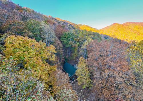 Treetops Retreat Treetops Retreat