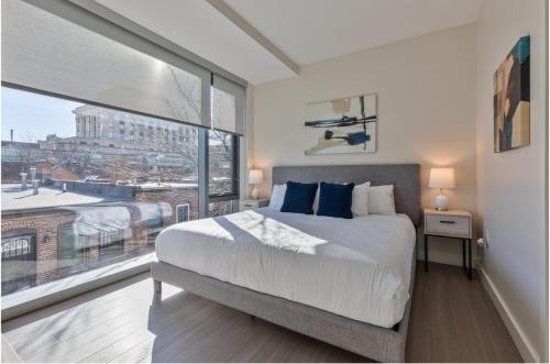 Luxury Apt In Heart of Back Bay