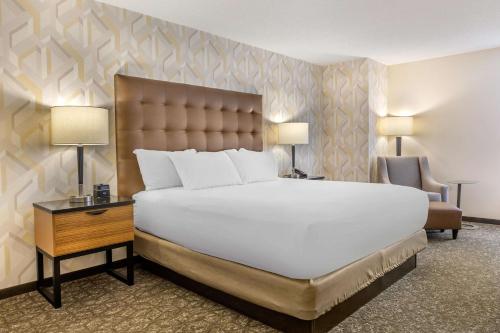1 king bed