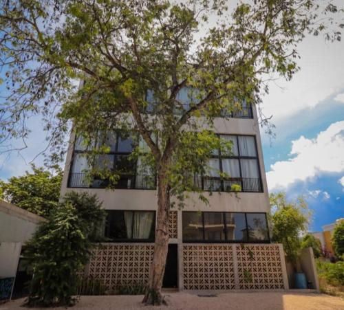 2 bdr Stunning Designer Loft - Centro Tulum in Tulum, Mexico