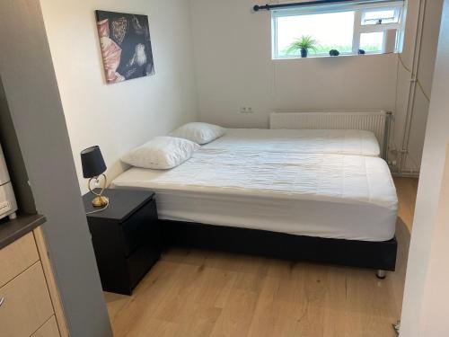 Cosy apartment in 塞爾福斯