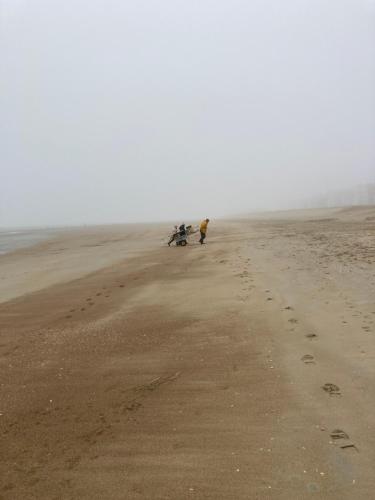 Strandstudio in hartje Koksijde, Koksijde (fotografie 10)