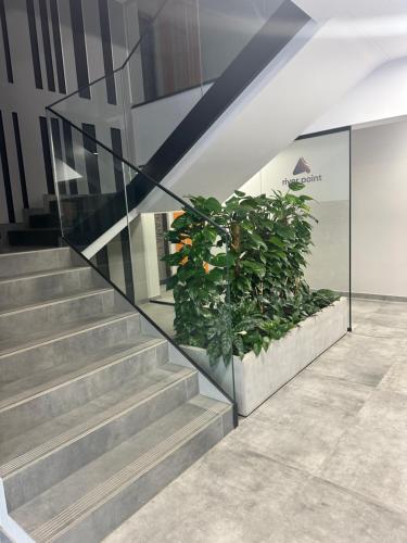 Luksusowy Apartament River Point Kępa Mieszczańska, Breslau (Foto 8)