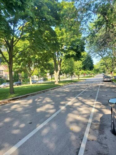 On the Boulevard near UW-Milwaukee in Milwaukee, USA