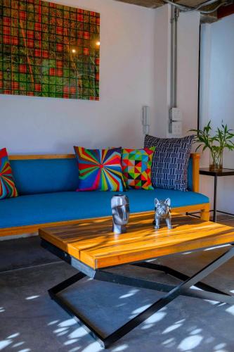 PH Suite Canario image 8
