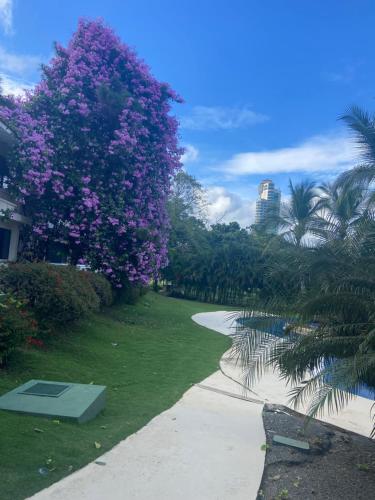 Cacao Suites -semi private Pool and Golf Course Coronado Luxury Club and Suites in Playa Coronado