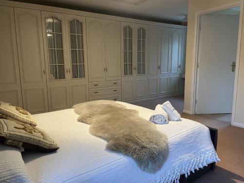 1 king bed, 1 twin bed