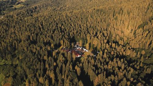 Forest Camp Val di Gresta Hotel de charme Località Luch