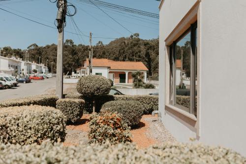 RealGoios, Esposende (foto 6)
