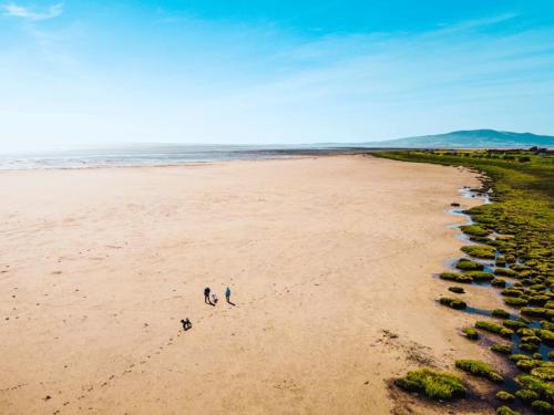 пляж, Queensberry Bay Standard Daisy Caravan in Powfoot
