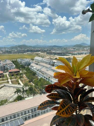 Dolphin Homestay Nera Garden Hue - 주변 환경