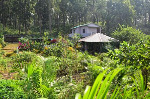 Skats, Sparrow Nest Corbett in Teda