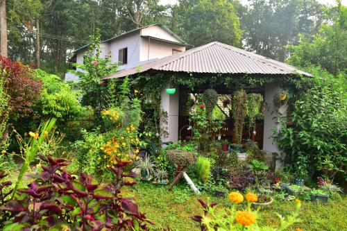 Sparrow Nest Corbett in Teda
