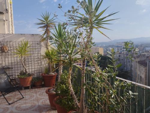 2FOR - Terrace full sky in Marseille, Marsella (foto 7)