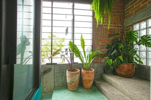 Casa Pancha Puerto Vallarta Centro - Adults Only - image 3