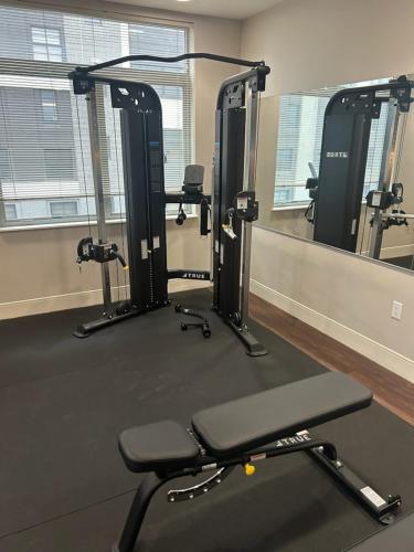 Studio View Of Downtown Near Lake Michigan Plaza Grey Studio View Of Downtown Near Lake Michigan Plaza Grey