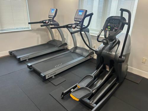 Studio View Of Downtown Near Lake Michigan Plaza Grey Studio View Of Downtown Near Lake Michigan Plaza Grey