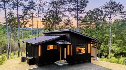 New! Treetop Escape! Hot Tub, Fire Pit & Views! in Sevierville, USA