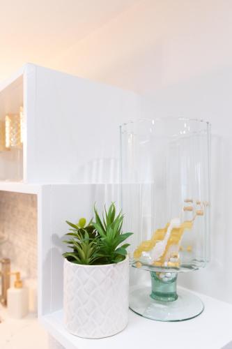 The Charles-South Shore The Charles-South Shore