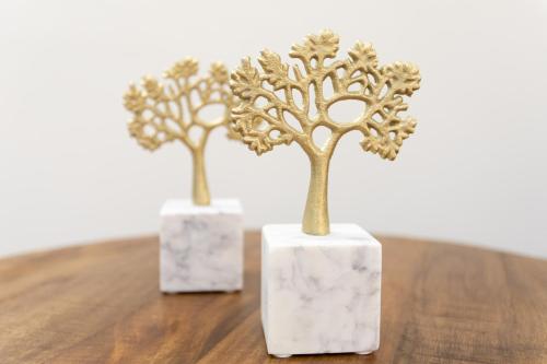 The Charles-South Shore The Charles-South Shore