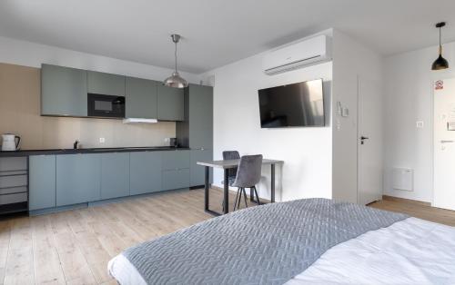 Studio Apartment image 10