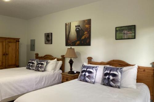 Wasser Lodge #204 - Raccon Room in New Braunfels, USA