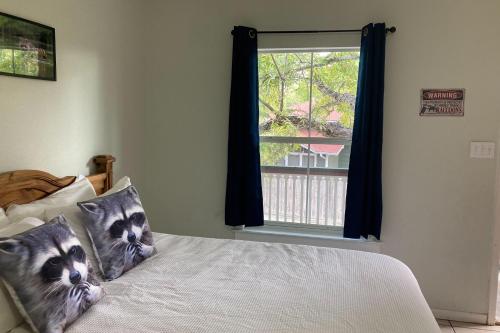 Wasser Lodge #204 - Raccon Room in New Braunfels, USA