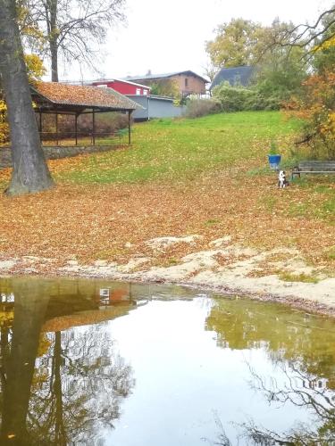 Schwandt-ein Bungalow mit Wasserblick, Ruderboot auf Anfrage in Molln (Mecklenburg-Vorpommern)