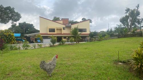 Casa Marigold -Apartamento Bondad in La Mandarina