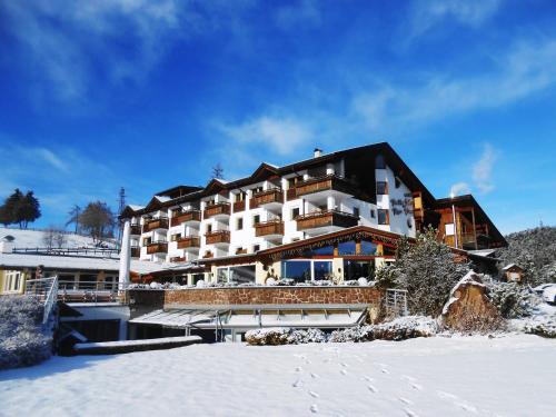 Hotel Pinei - image 8