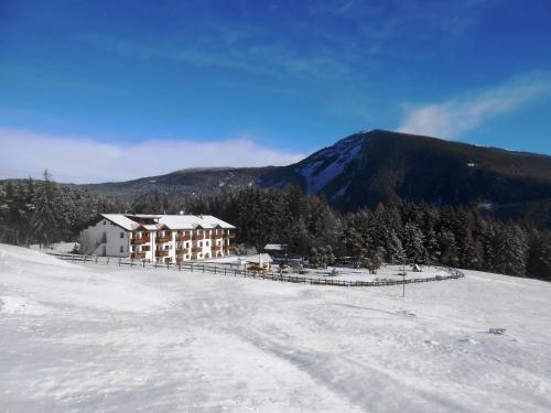 Hotel Pinei - image 13