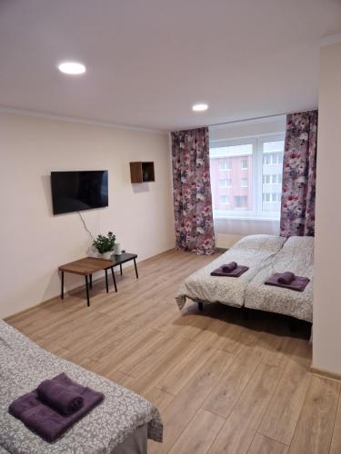 Cēsu Mājas Akmens ielā (Cesu Majas Akmens iela) in Cesis