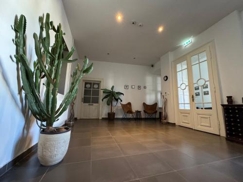 CENTER rooms in Miskolc